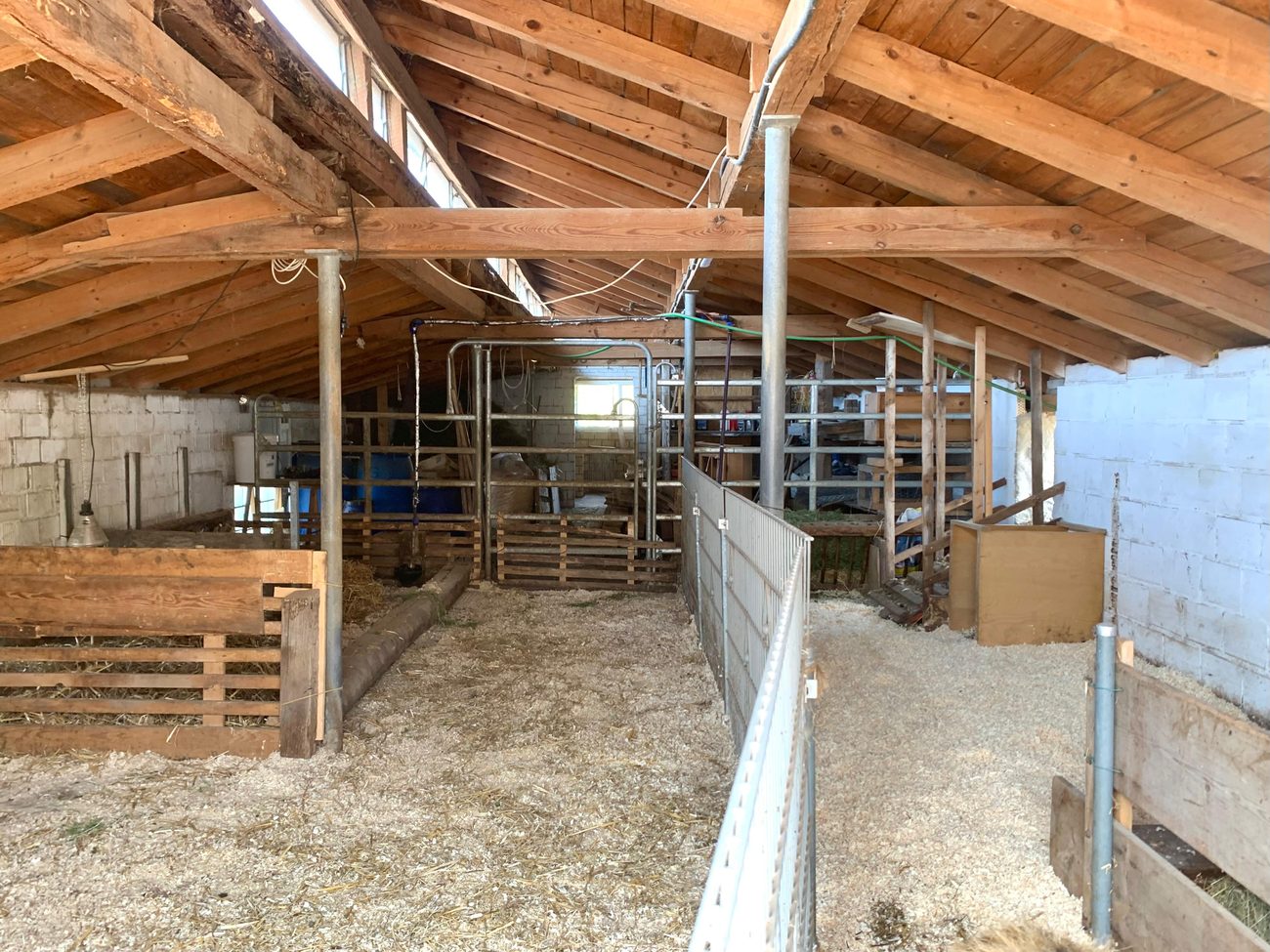 Blick durch den Stall mit Buchten auf beiden Seiten